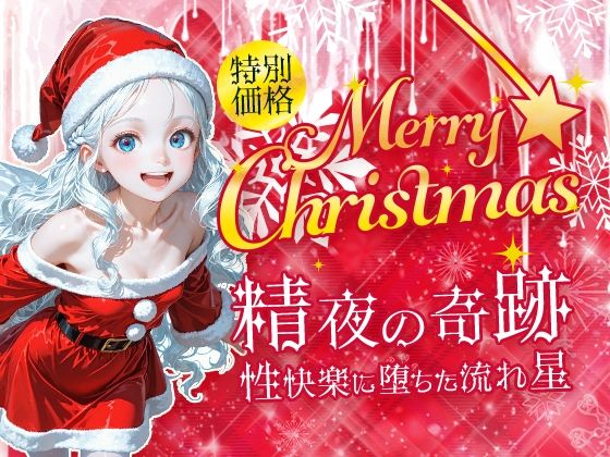 Merry Christmas  精夜の奇跡  エロ画像684208