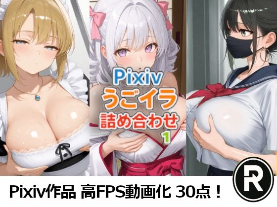 Pixivうごイラ詰め合わせ1  エロ画像713107