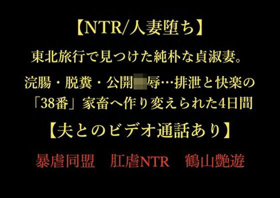 【NTR/人妻堕ち】東北旅行で見つけた純朴な貞淑妻。浣腸・脱糞・公開陵●…排泄と快楽の「38番」家畜へ作り変えられた4日間【夫とのビデオ通話あり】  エロ画像724022