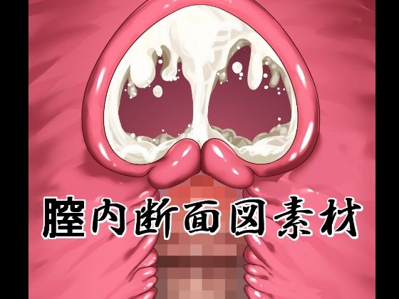 膣内断面図素材  エロ画像735779